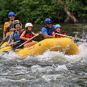 A professional rider on a horse